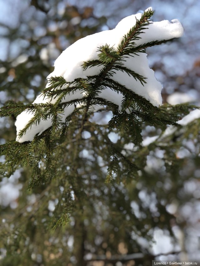 К нам Зима вернулась — Интересное и необычное: фотоподборки