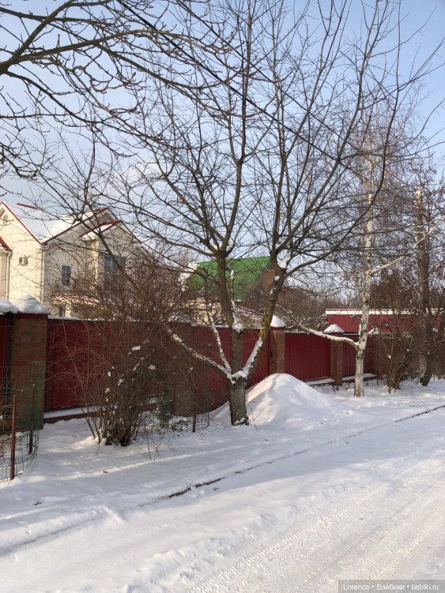 К нам Зима вернулась — Интересное и необычное: фотоподборки