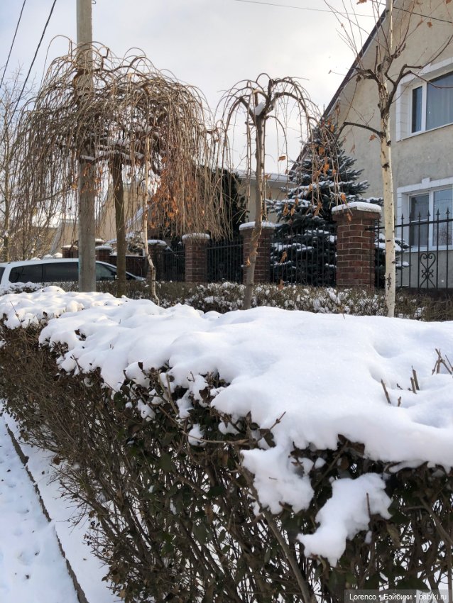 К нам Зима вернулась — Интересное и необычное: фотоподборки (фото 8)