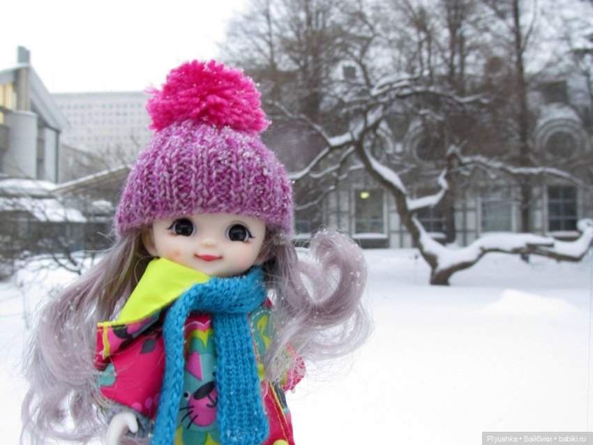 А вы знаете, где сейчас цветут орхидеи (фото 4)