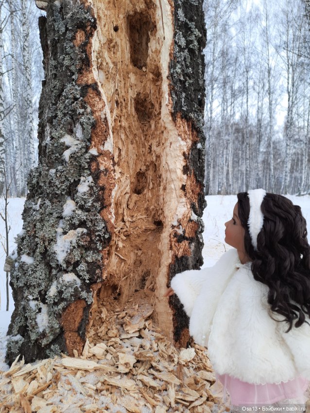 Прогулка Кайлы в зимнем лесу (фото 5)