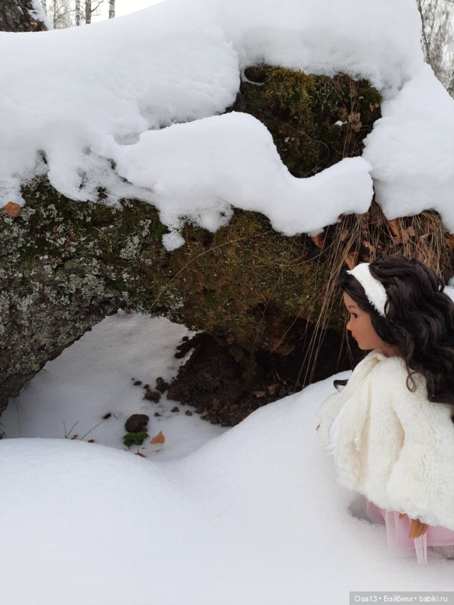 Прогулка Кайлы в зимнем лесу