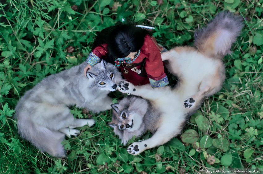 Прогулка с волками — Коллекционные экшн