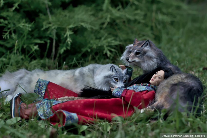 Прогулка с волками — Коллекционные экшн