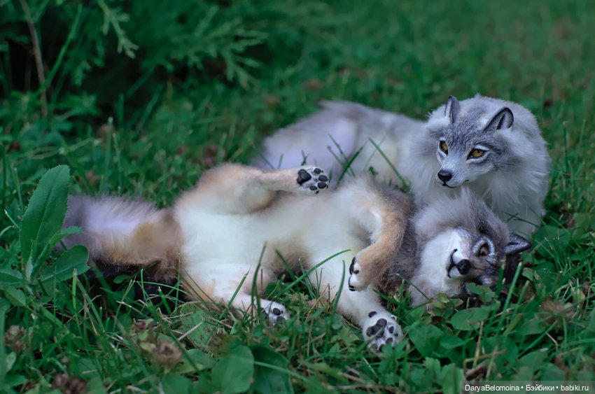 Прогулка с волками — Коллекционные экшн (фото 8)