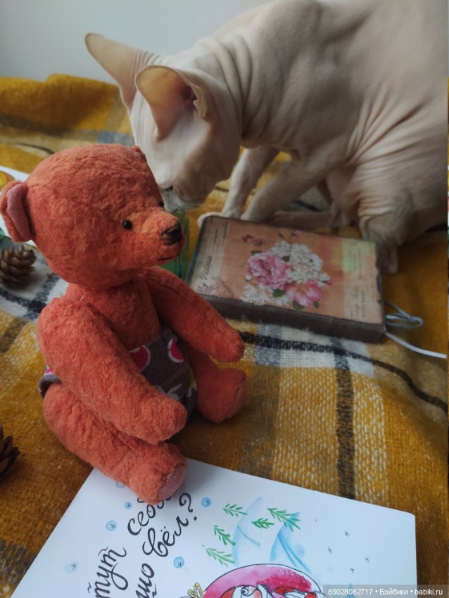 Cолнечные друзья — Домашние фото авторских игрушек: Тедди (фото 2)