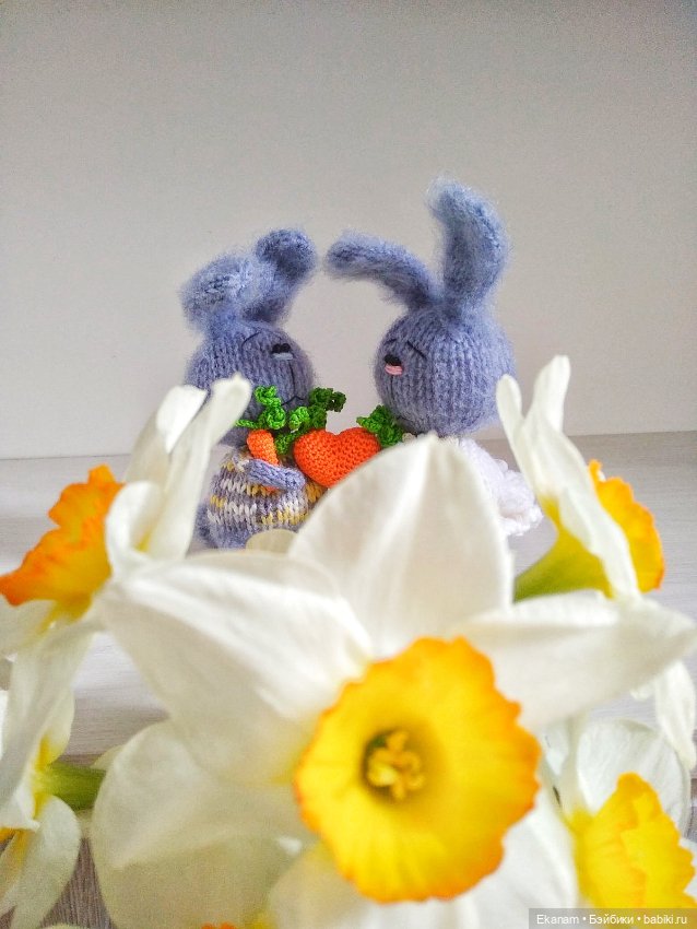 История любви — Другие хобби и увлечения: сад (фото 8)