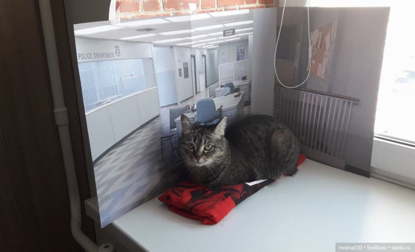 Вампирская сага-4, серия 10. В участке