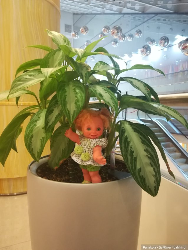 Не Наташа — Реставрация и преображение кукол: ремонт (фото 3)