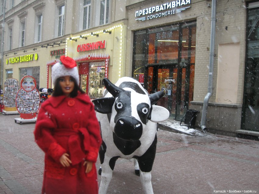 Надену валенки, да красное пальто (фото 10)