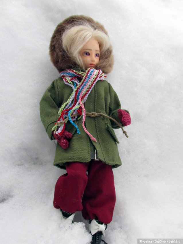 Лиза во льдах — Куклы и тела Obitsu (Обитсу): 1/6