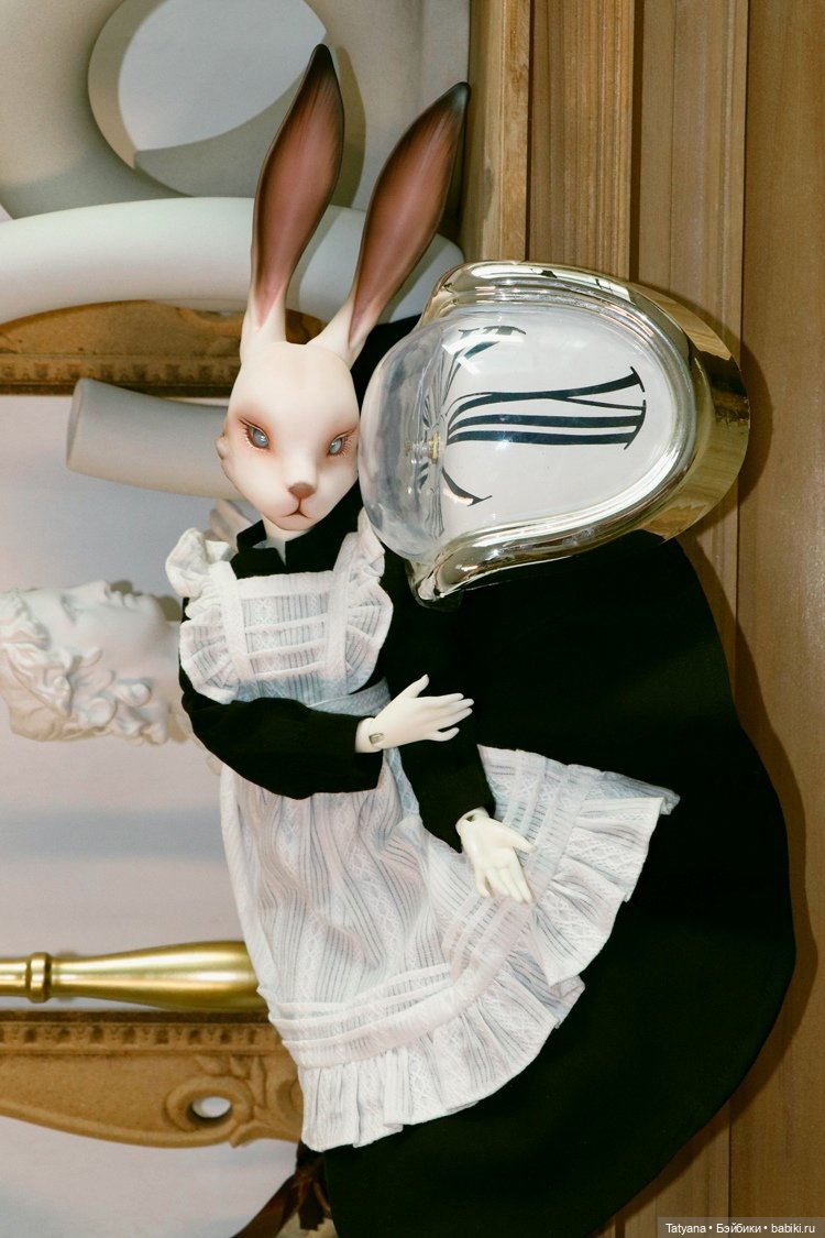 DollZone - Obi и Taru — Куклы Dollzone (Доллзон): BJD (БЖД) (фото 3)