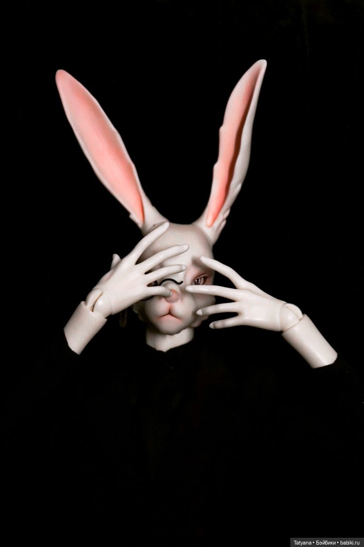 DollZone - Obi и Taru — Куклы Dollzone (Доллзон): BJD (БЖД) (фото 8)