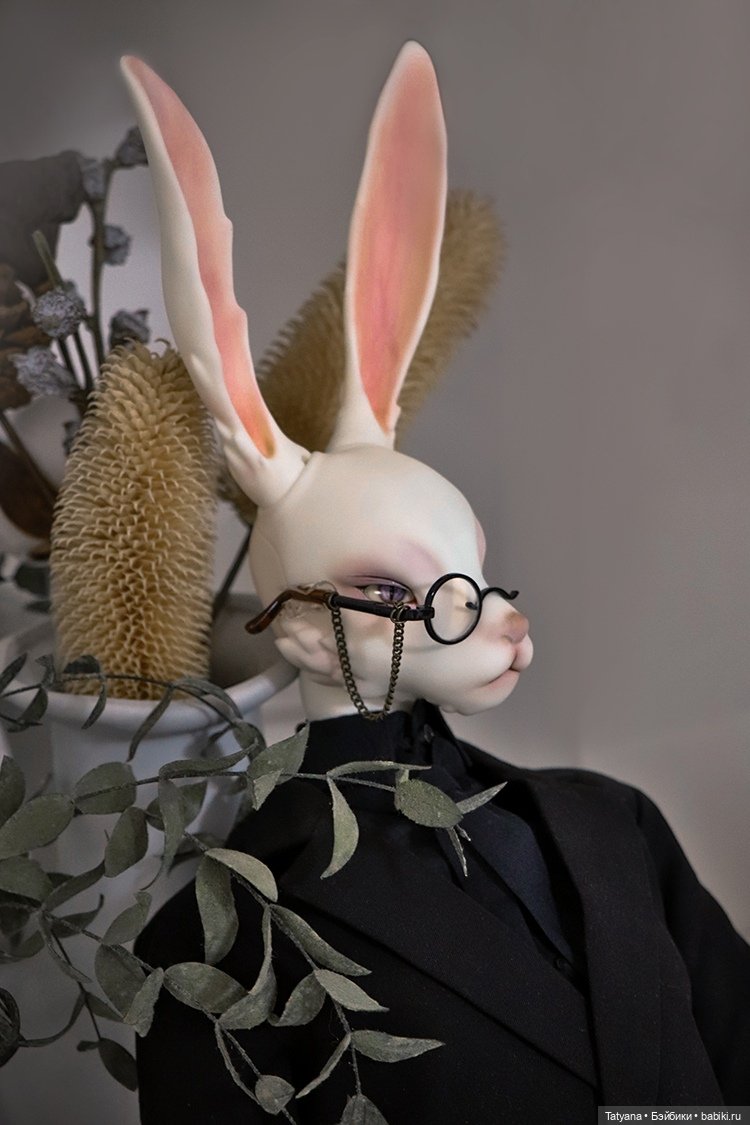 DollZone - Obi и Taru — Куклы Dollzone (Доллзон): BJD (БЖД) (фото 6)