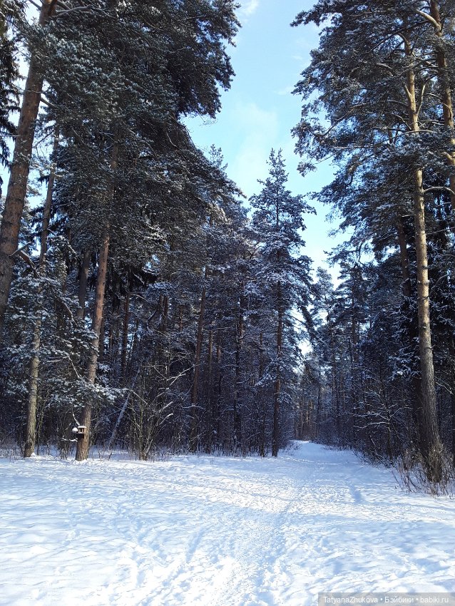 Сейчас февраль — Редкие антикварные куклы и реплики: воск