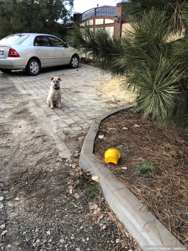 Из России с любовью❤ — Коллекционные куклы разных авторов (Разное): редкие бренды