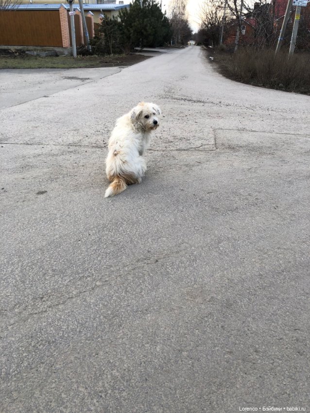 Из России с любовью❤ — Коллекционные куклы разных авторов (Разное): редкие бренды
