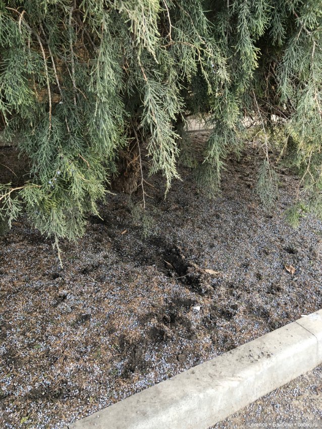 Из России с любовью❤ — Коллекционные куклы разных авторов (Разное): редкие бренды