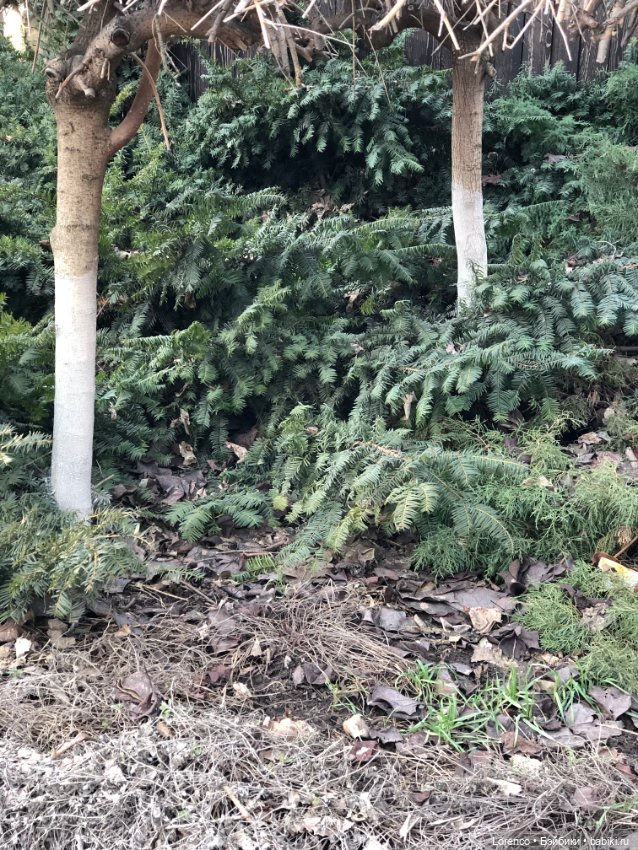 Из России с любовью❤ — Коллекционные куклы разных авторов (Разное): редкие бренды (фото 6)