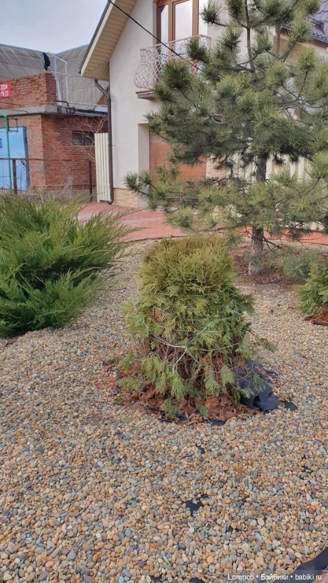 Из России с любовью❤ — Коллекционные куклы разных авторов (Разное): редкие бренды (фото 3)