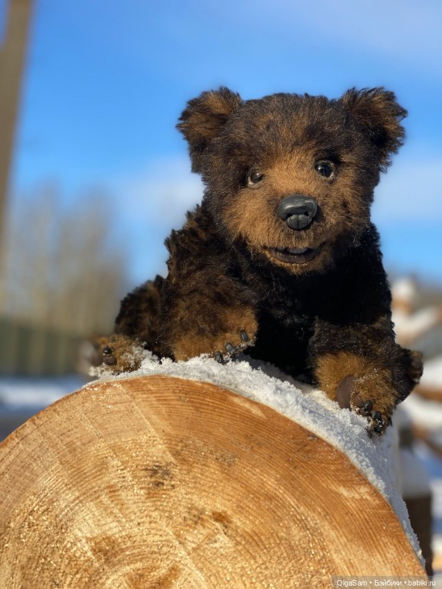 Мишки бывают разными, но любимые 100% (фото 8)