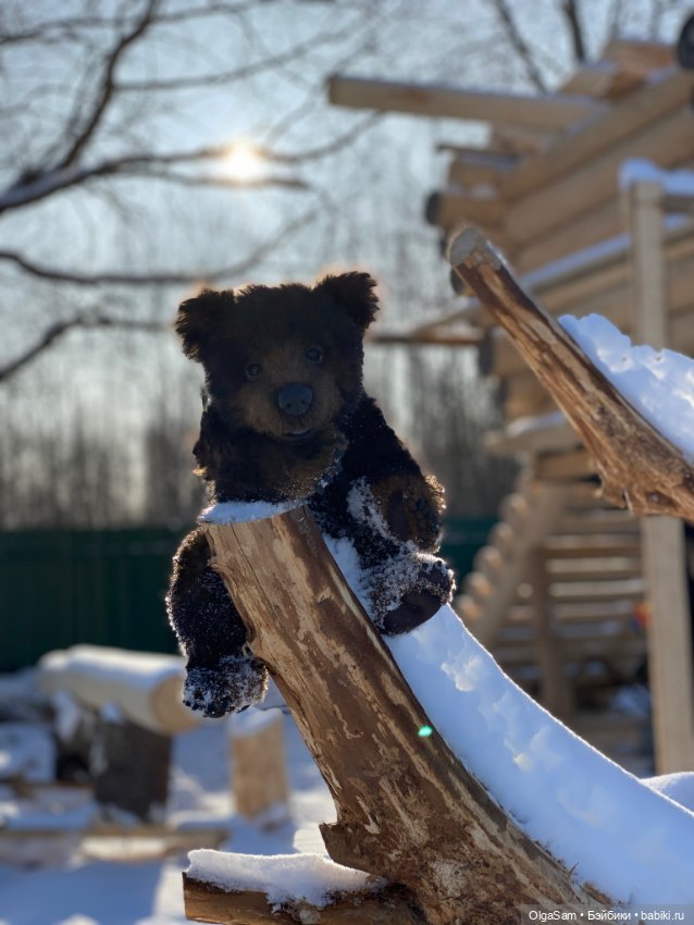 Мишки бывают разными, но любимые 100% (фото 3)