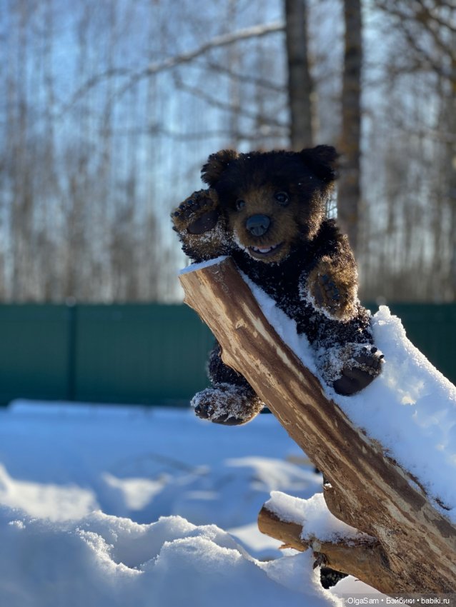Мишки бывают разными, но любимые 100% (фото 4)
