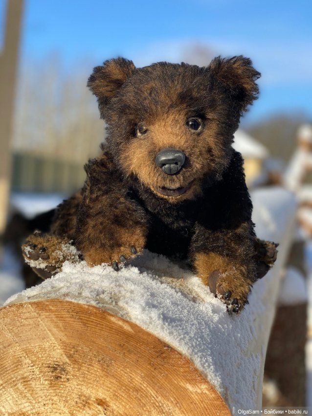Мишки бывают разными, но любимые 100% (фото 7)