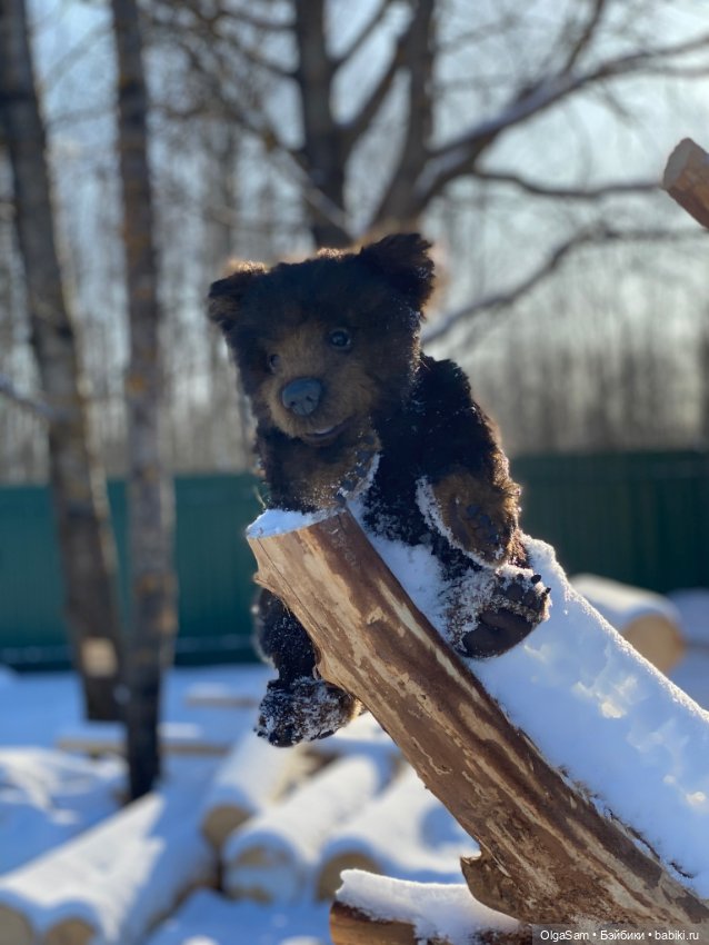 Мишки бывают разными, но любимые 100% (фото 2)