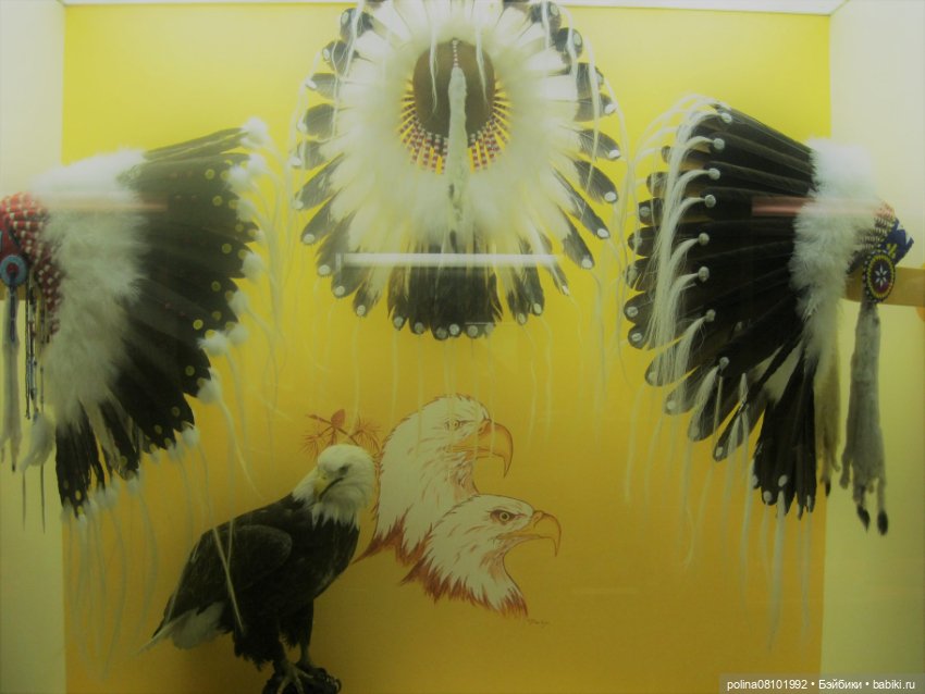 Этнические куклы от Канадской компании Regal Toy (фото 10)