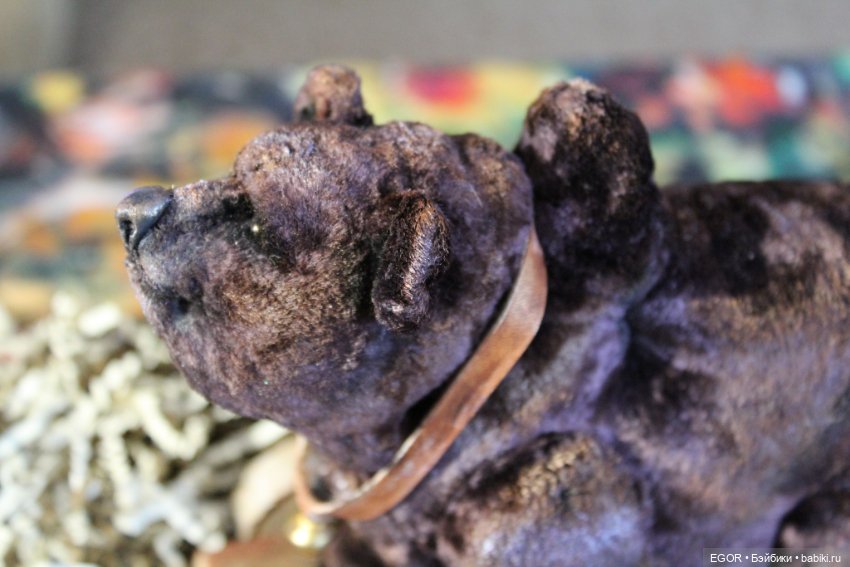 Разрешите представить - Марья Потаповна