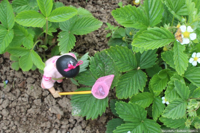 Мелоди ловит бабочек — Кукольные фотоистории и сериалы: комиксы