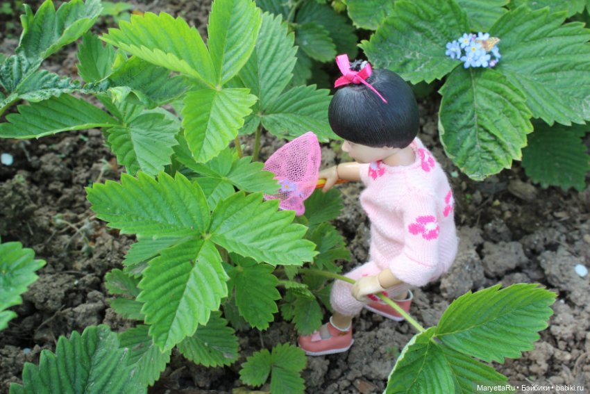 Мелоди ловит бабочек — Кукольные фотоистории и сериалы: комиксы (фото 9)