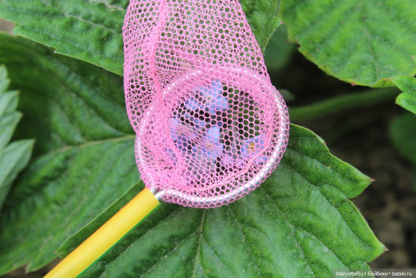 Мелоди ловит бабочек — Кукольные фотоистории и сериалы: комиксы