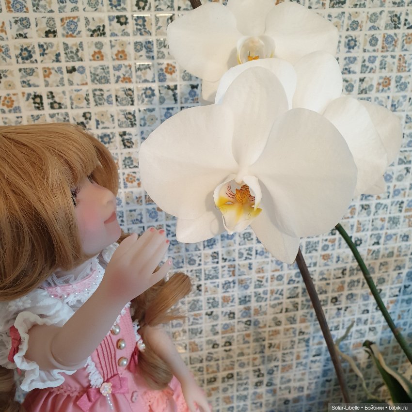 Darla прилетела — Куклы Ruby Red (Руби Ред) Fashion Friends: Siblies (фото 5)