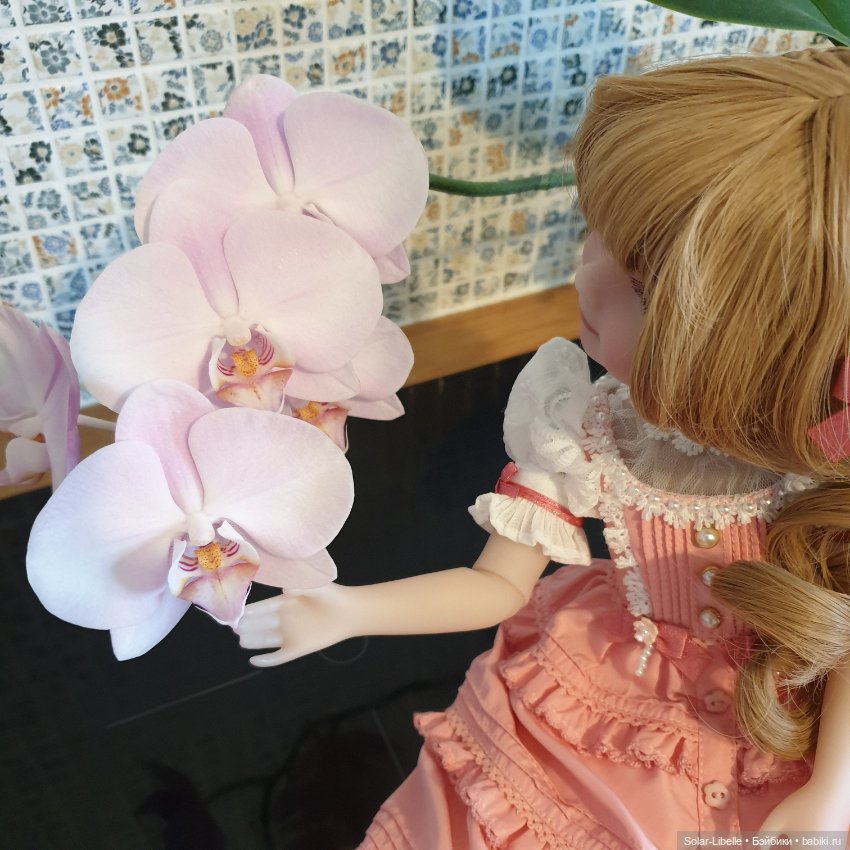 Darla прилетела — Куклы Ruby Red (Руби Ред) Fashion Friends: Siblies (фото 4)