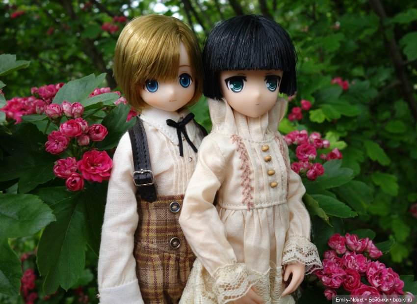 Love is love — Домашние коллекции кукол: фото собраний