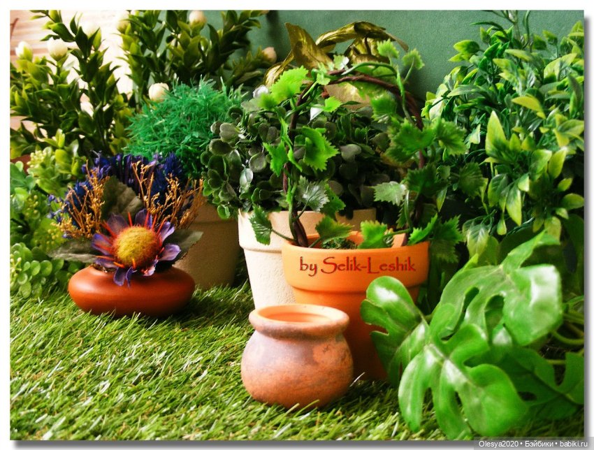 Мой хомяк страстный хвастун - ремня на него нет