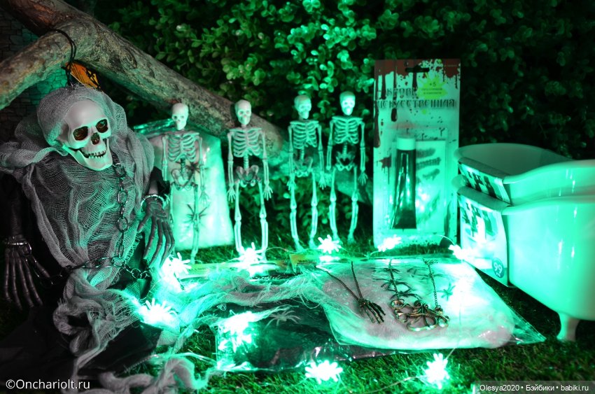 Мой хомяк страстный хвастун - ремня на него нет