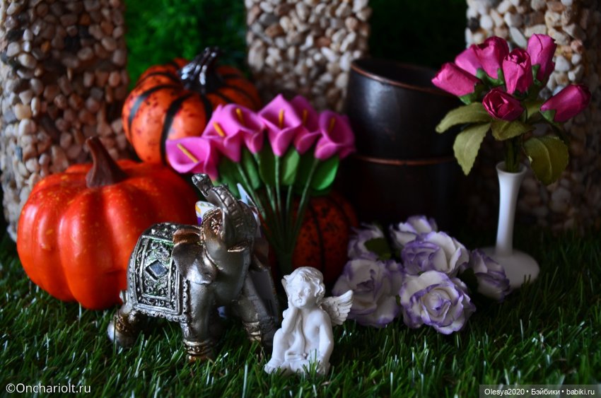 Мой хомяк страстный хвастун - ремня на него нет