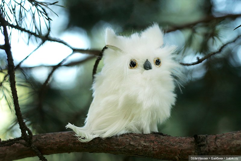 Сова в заколдованном лесу (фото 2)