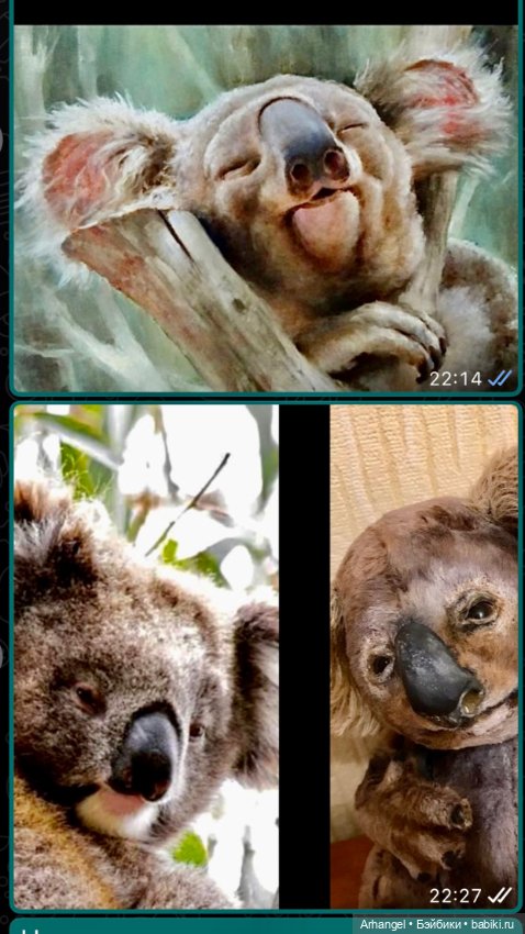 Сама милая Коала от волшебницы iNNaMatus (фото 4)