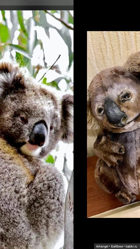 Сама милая Коала от волшебницы iNNaMatus (фото 3)