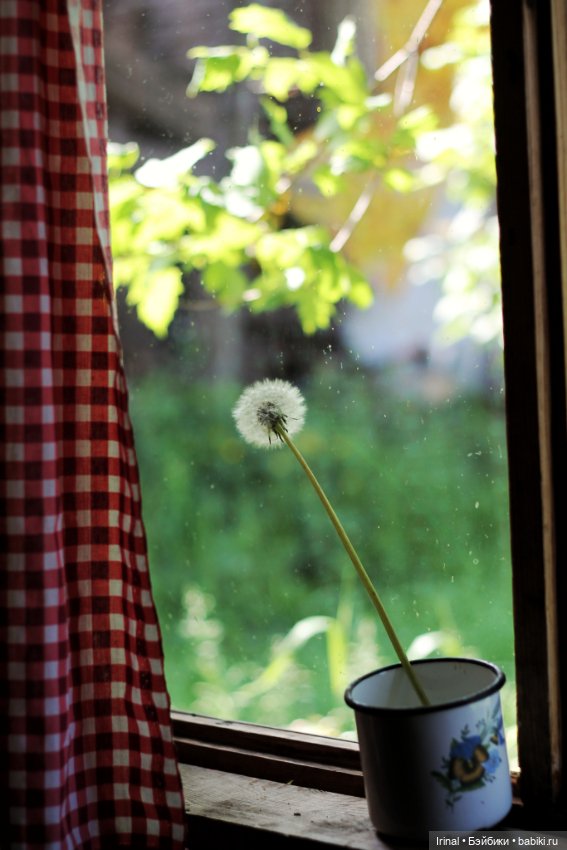 Кто остался зимовать на даче