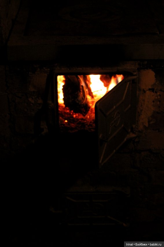 Кто остался зимовать на даче