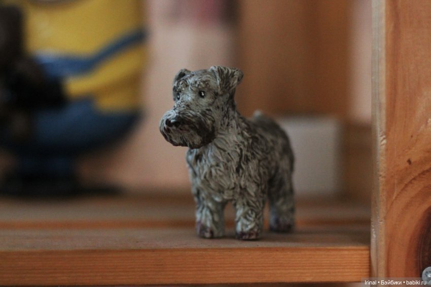 Кто остался зимовать на даче