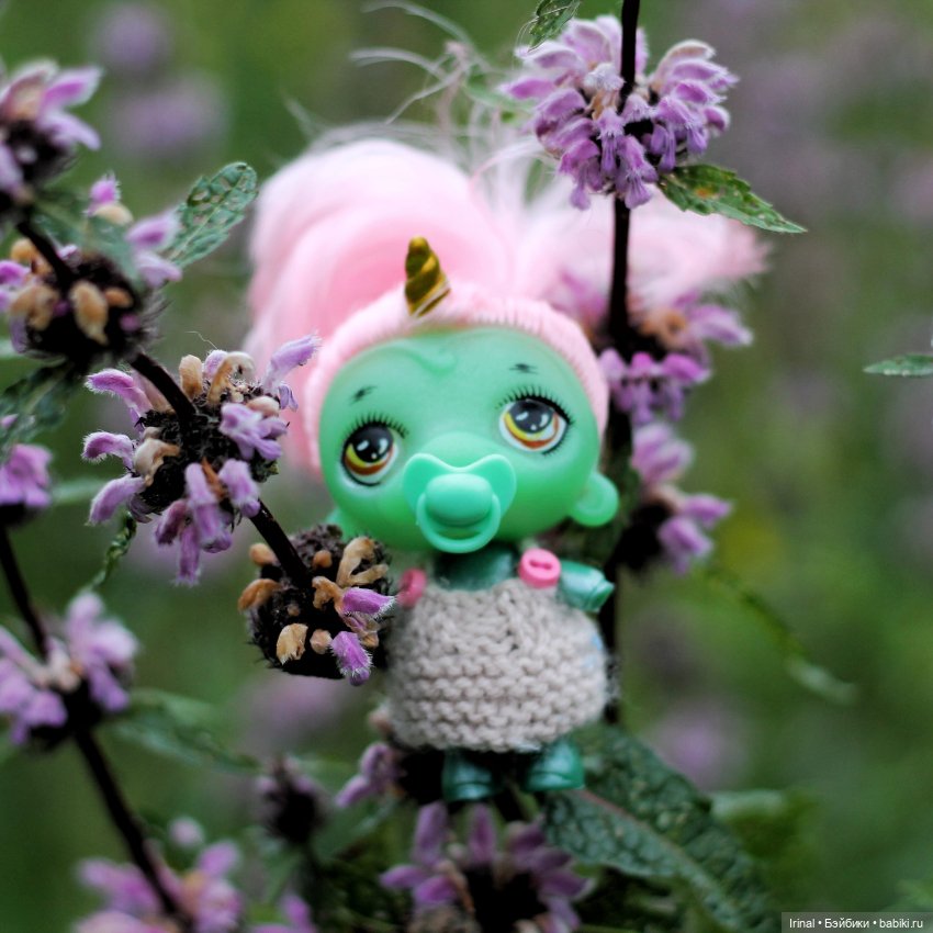 Кто остался зимовать на даче (фото 10)