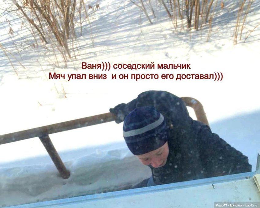 Утренний переполох на нашем окне