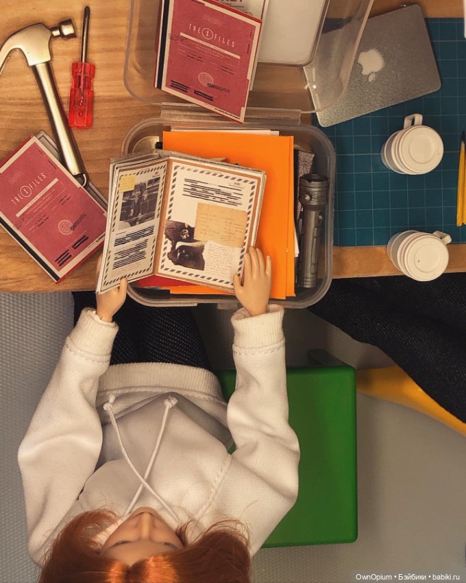 Немного из жизни Скалли P.S. С днем рождения, Дана