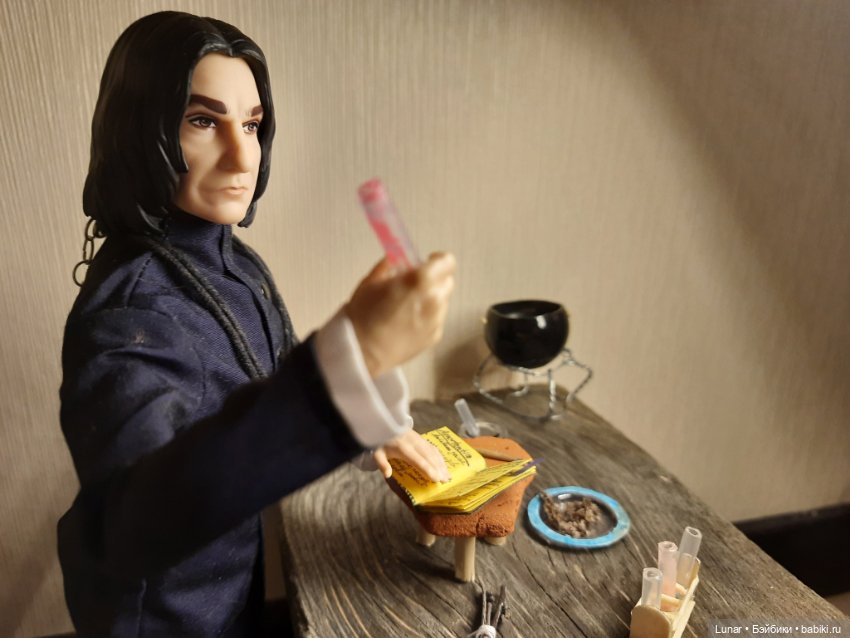 Лаборатория С. Снейпа — Кукольные фотоистории и сериалы: комиксы (фото 5)